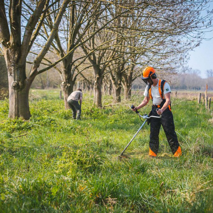Staatsbosbeheer WSP Werker